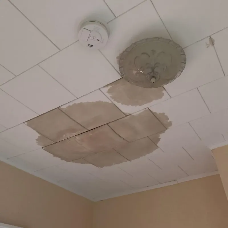 Ceiling Water Damage Repair in Nashville, MI