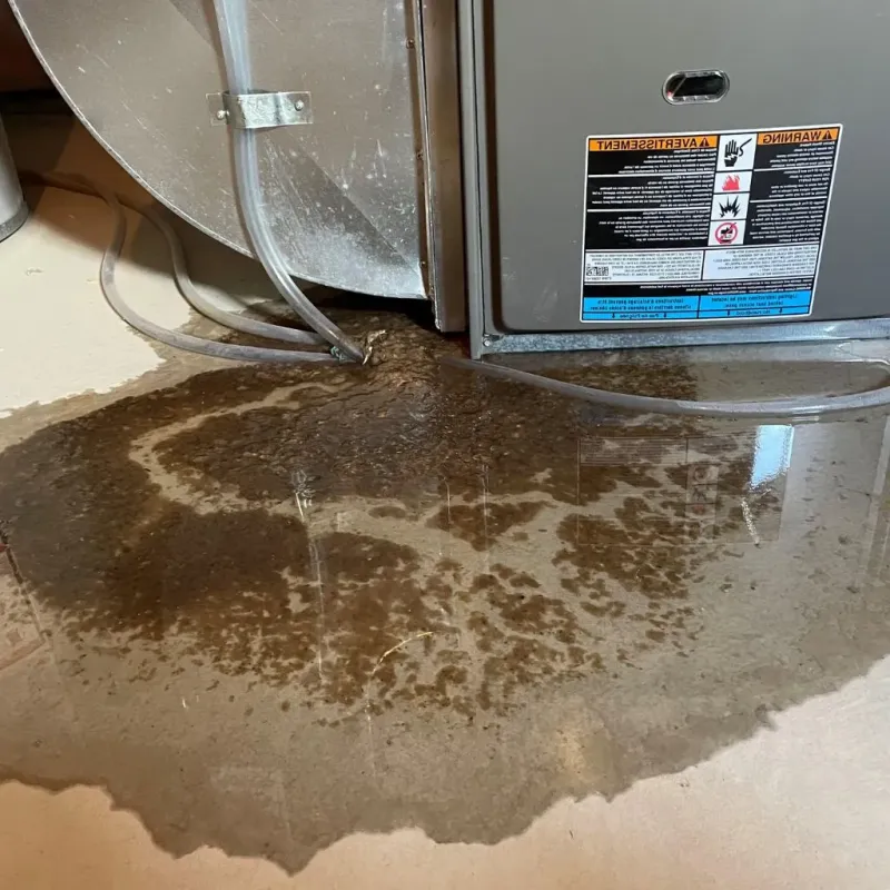 Pipe Burst and Leak Restoration in Nashville, MI